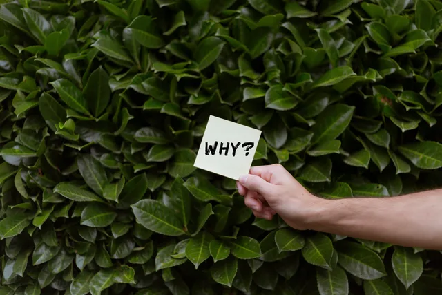 A hand holding a note with the word 'WHY?' against a backdrop of green leaves. Paid social creative planning
